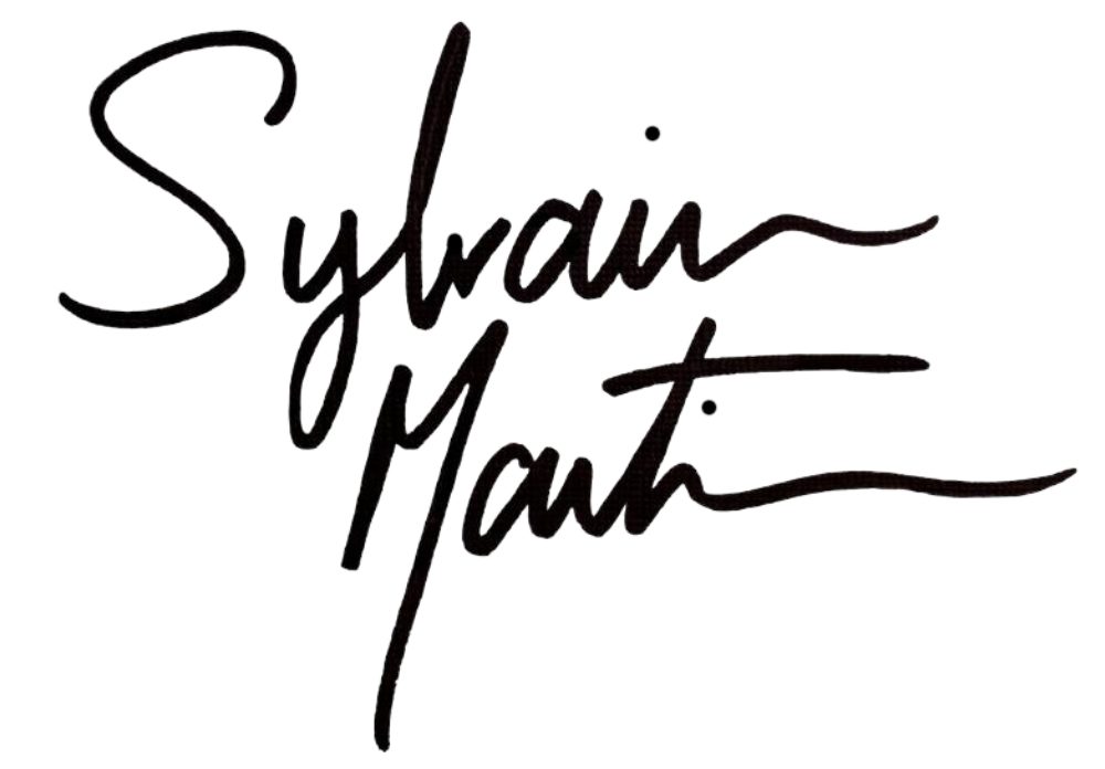 Sylvain Martin, Artiste Visuel Franco-Québécois