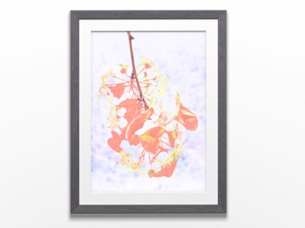 Affiche d’art imprimée encadré - Éclosion I