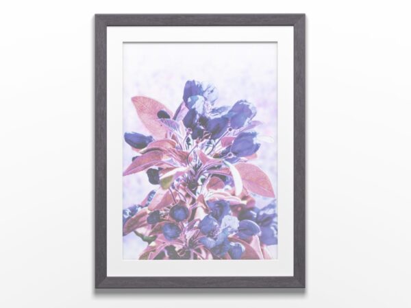 Affiche d’art imprimée encadré - Éclosion III