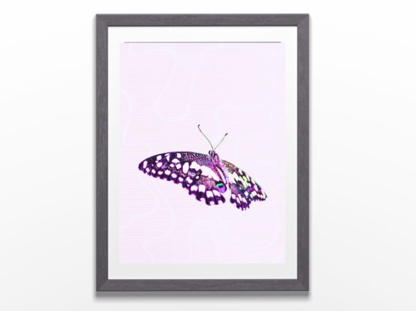 Dans un cadre, affiche d’art imprimée sur du papier de qualité qui représente l'envol d'un papillon pris à la ferme guillon sur un fond graphique fait au feutre rose qui inspire l'optimisme - l'envol